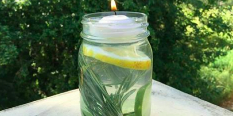 Hader du myg: Dette trick vil holde dem væk til sommer