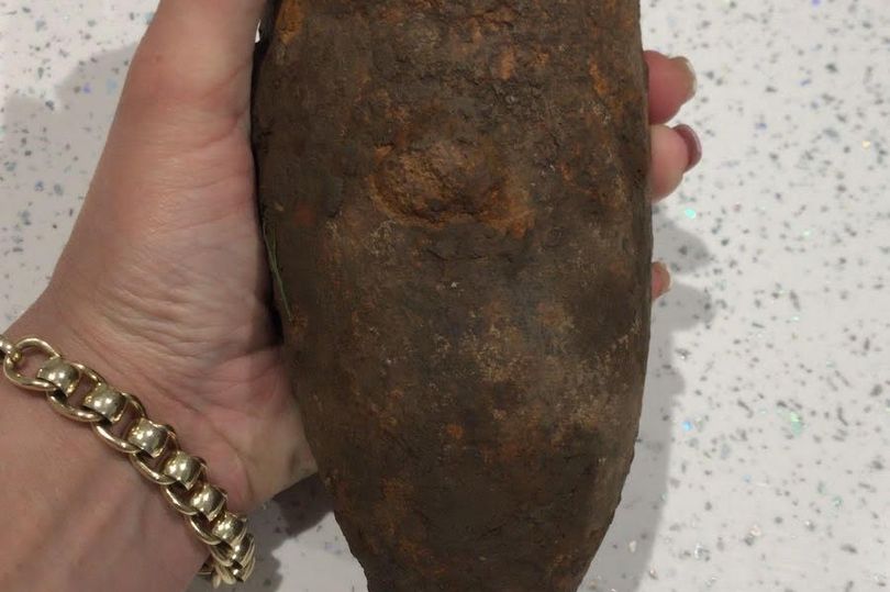 Hundelufter lod hund tage gammel kartoffel med hjem fra gåtur: Fik et chok, da de opdagede hvad det var