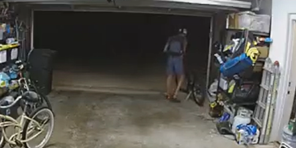 Tyv er ved at stjæle cykel fra garage: Så ser han en hund og gør noget uventet