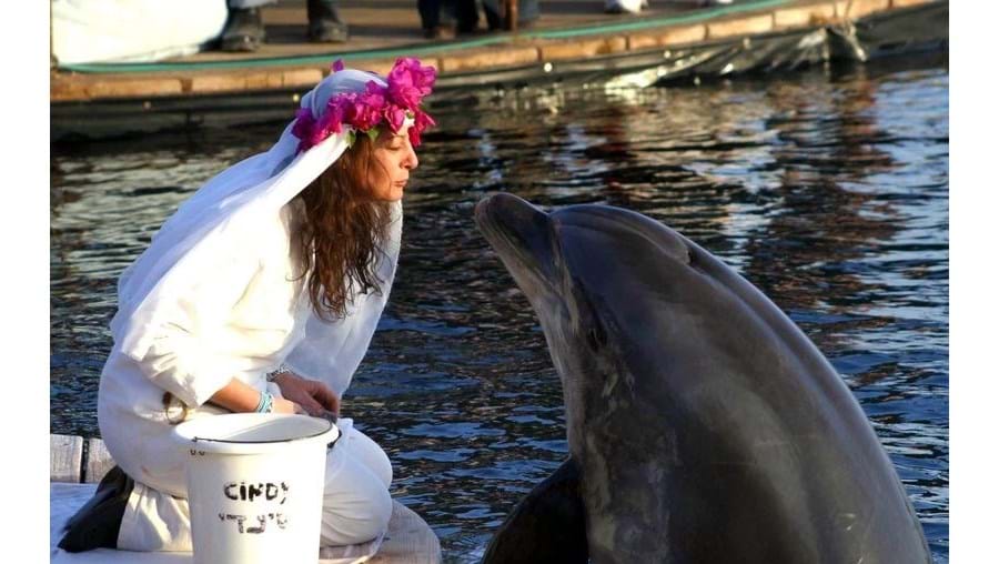 Giftede sig med delfin: Nu er hendes livs kærlighed død