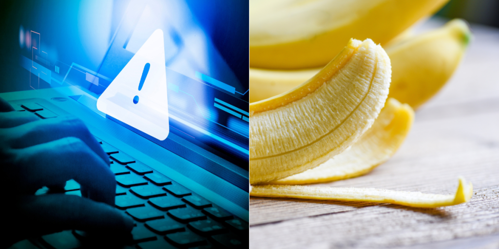 Lækket mails fra minister efterlader folk med grinekramper: Rædselsslagen for bananer