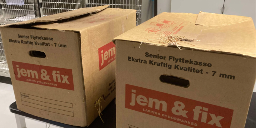 To flyttekasser stod efterladt på gaden: Dit hjerte bliver knust, når du ser hvad der var i dem