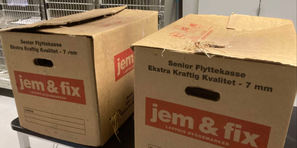 To flyttekasser stod efterladt på gaden: Dit hjerte bliver knust, når du ser hvad der var i dem