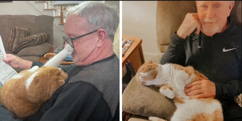 Mand får kræft: Du gætter aldrig hvad hans kat gør