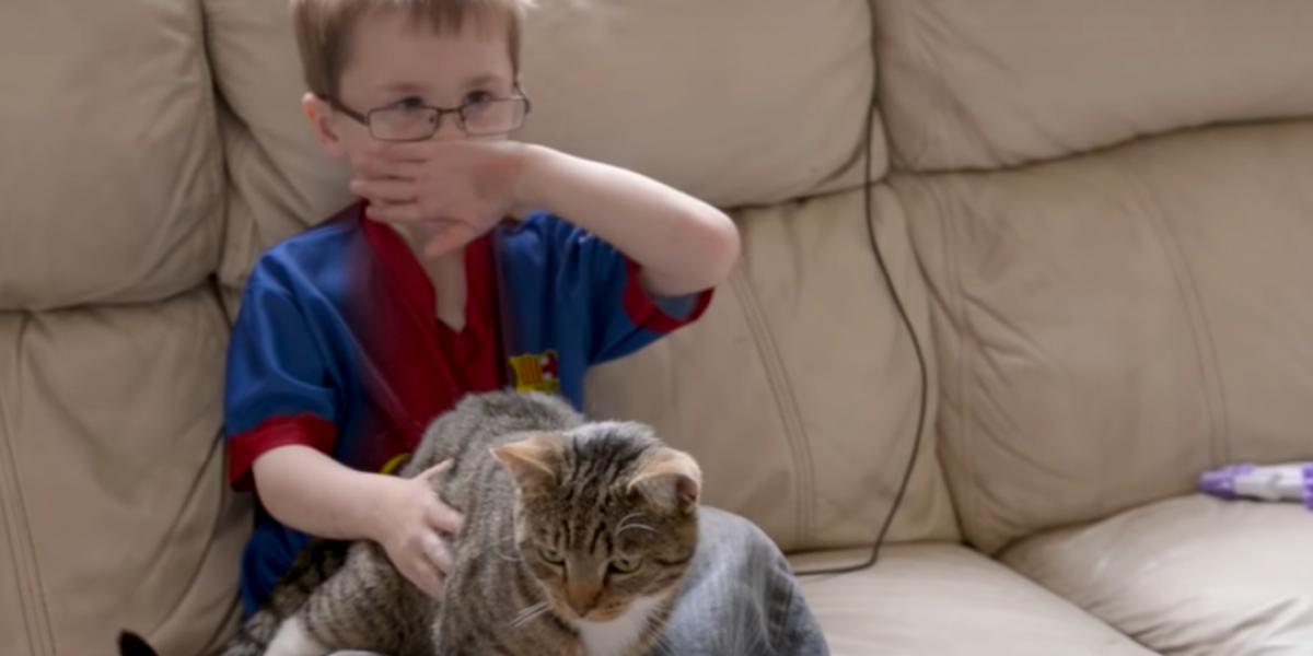 Drengen blev skubbet, men se så hvad katten gør