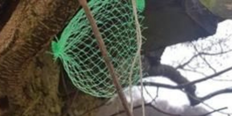 Nu advares danskere: Det kan være en dødsfælde