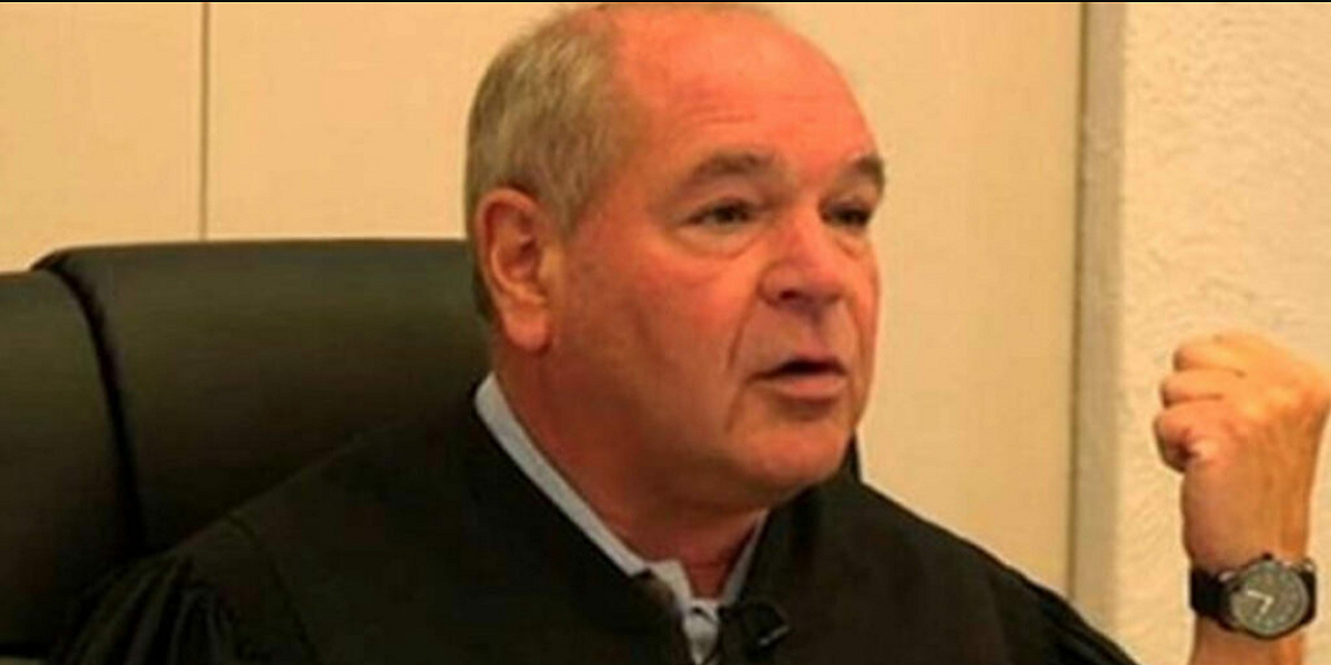 Kvinde anklaget for dyremishandling: Så gør dommeren noget uventet