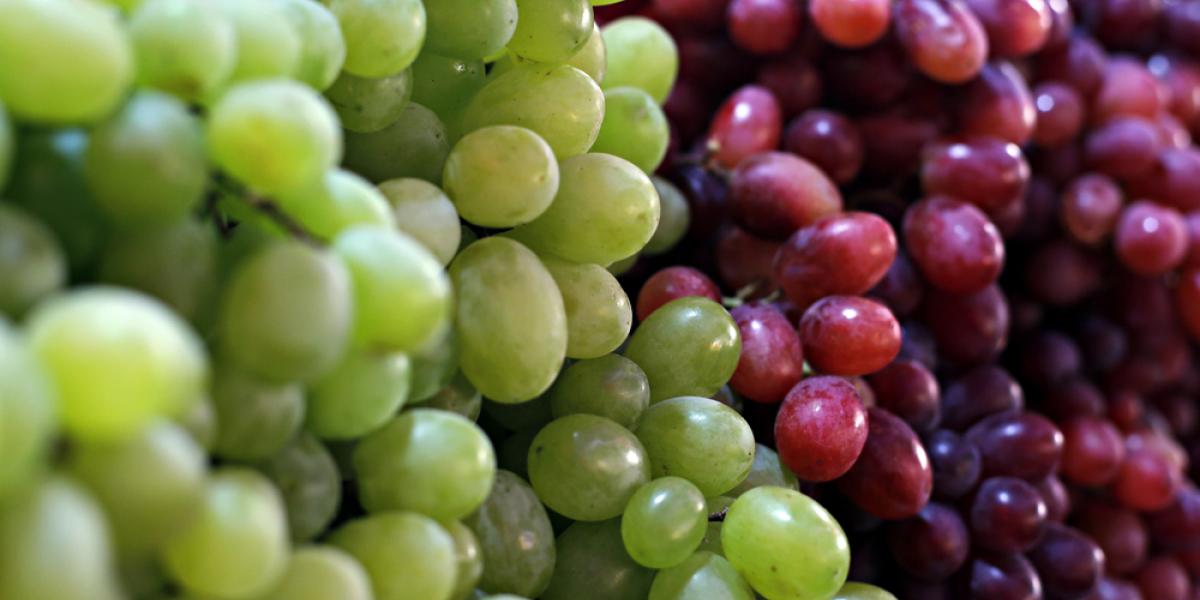 Fik sit livs chok: Bedstemor gjorde skræmmende fund i sine nyindkøbte vindruer