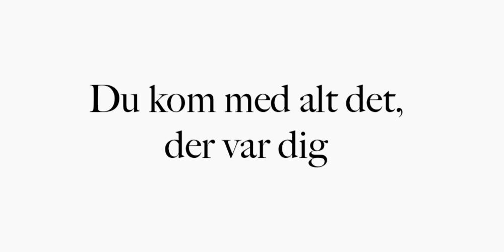 Du kom med alt det der var dig