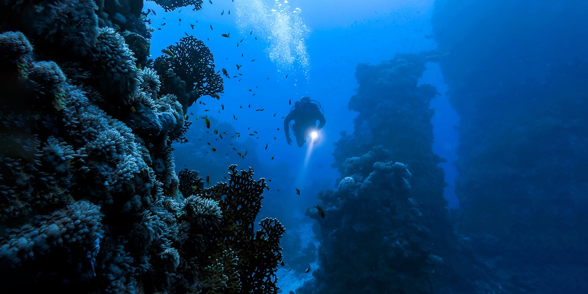 Bekræftet: Dansker død i dykkerulykke