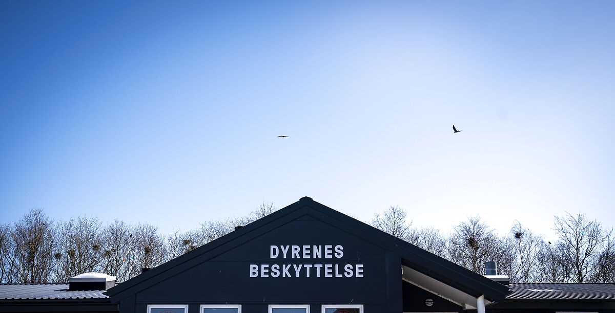 Dyrenes Beskyttelse med trist meddelelse