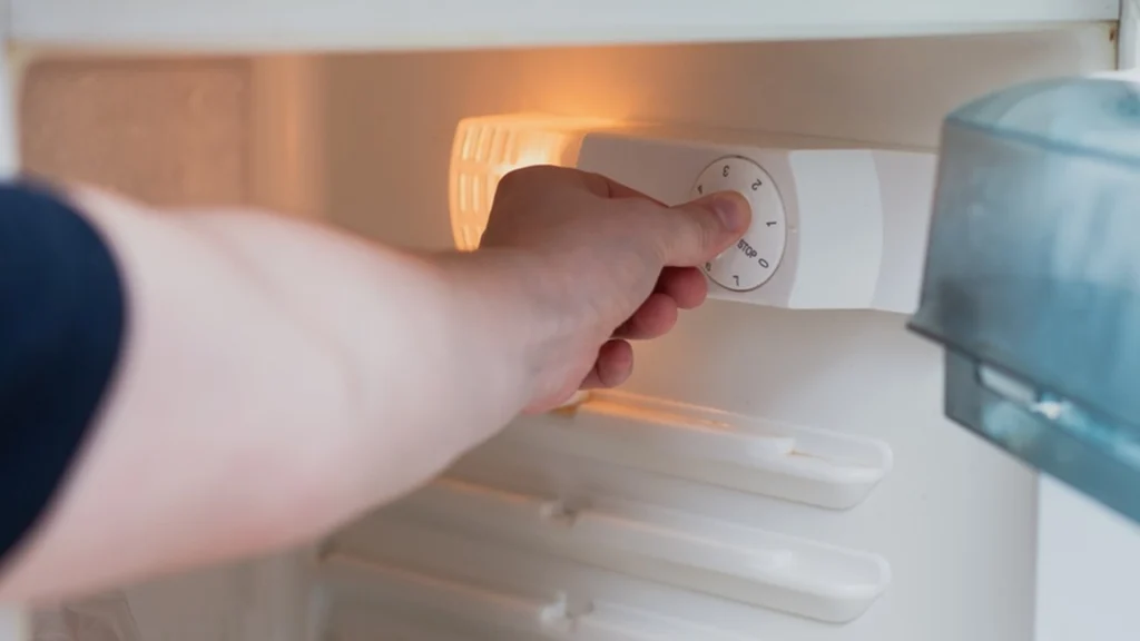 Små justeringer sparer meget i pengepungen: Her er den ideelle temperaturer til køleskabet