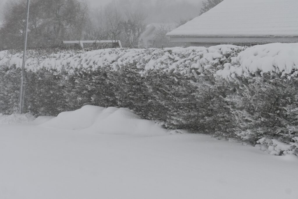 DMI melder om 20 centimeter sne: Her rammer det din del af landet