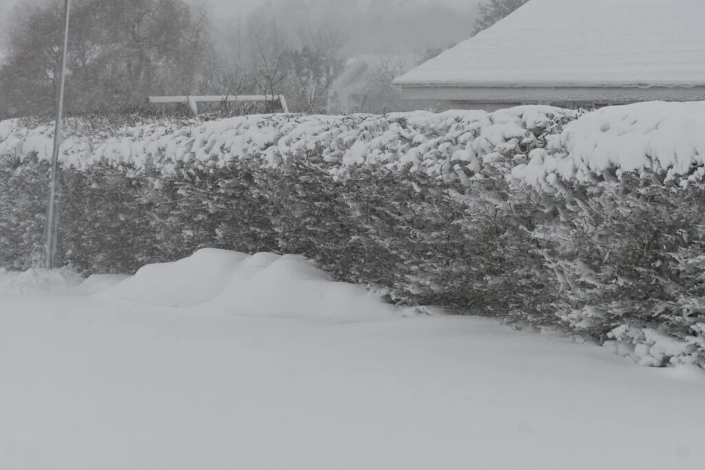 DMI melder om 20 centimeter sne: Her rammer det din del af landet