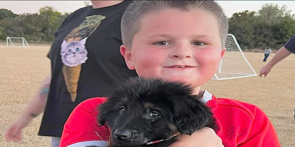 Noah med hjertesygdom får hund i gave – men moren havde aldrig forventet det der skete