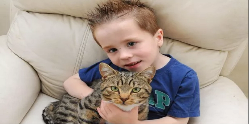 Børn vælter 5-årig grædende dreng i jorden: Så giver hans kat dem en lærestreg de sent vil glemme