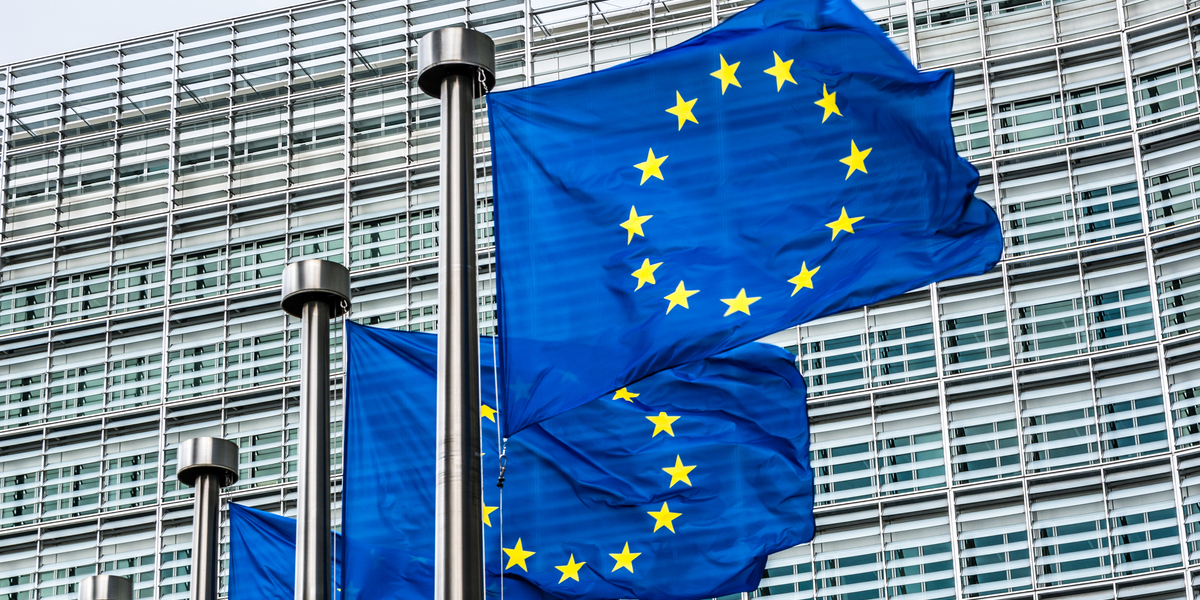 EU-parlamentet med løftet pegefinger til EU-kommissionen: Hele reglementet skal revideres