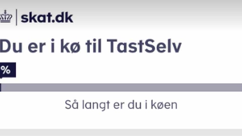 Politiet udsender advarsel i forbindelse med årsopgørelsen: Dette må du aldrig gøre