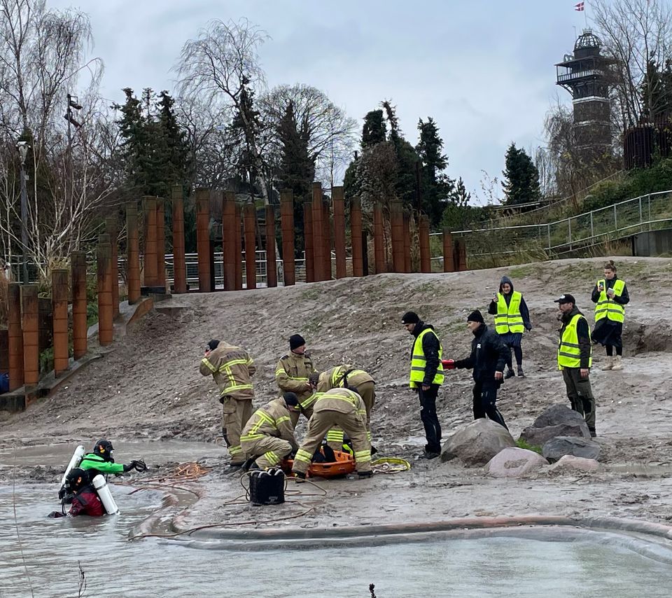 København Zoo meldte om druknet person og brand i tårn: Nu er der nyt