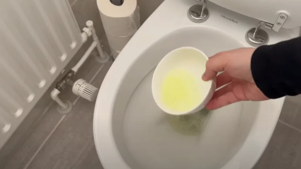 Han bruger denne blanding i toilettet: 30 minutter senere er magien sket