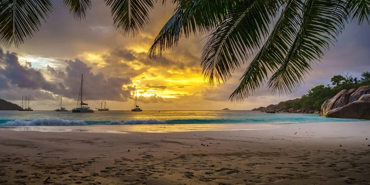Rig familie søger kærestepar til sandt drømmejob: 750.000 kroner om året for at bo i ferieparadis