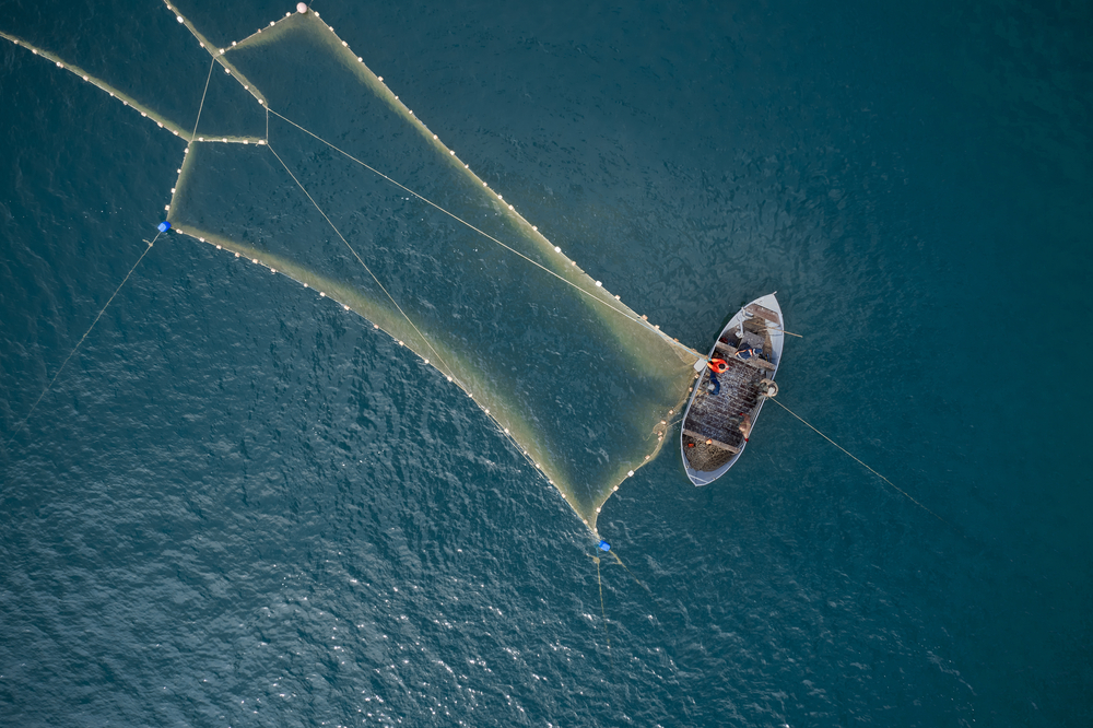 Verdens største fiskekoloni opdaget