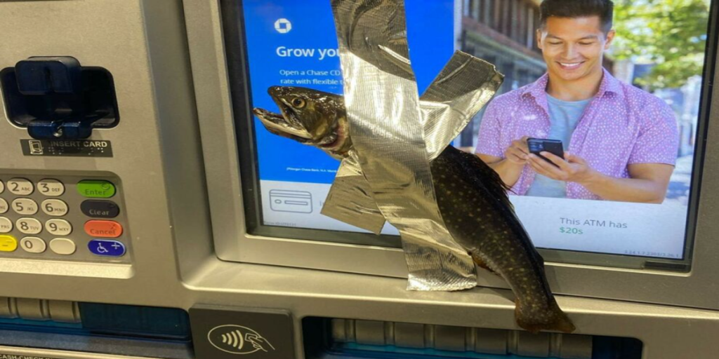 Mand tapede døde fisk fast på politibiler og bankautomater: Nu er han endelig blevet fanget