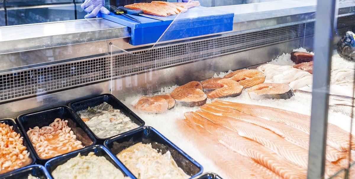 Nyt studie påstår: Fisk to gange om ugen øger risikoen for kræft