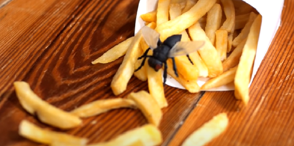 Sommersæsonen nærmer sig: Sådan holder du insekter væk fra grillaftener og sommerfester