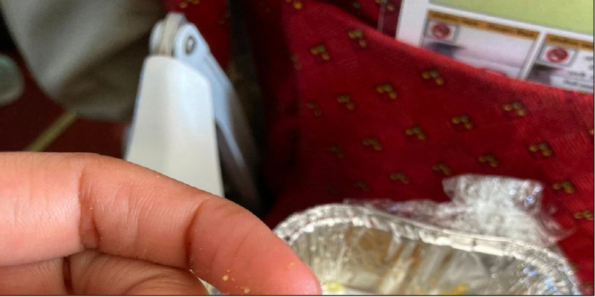 Kvinde spiser et måltid på flyet: Halvvejs får hun et kæmpe chok