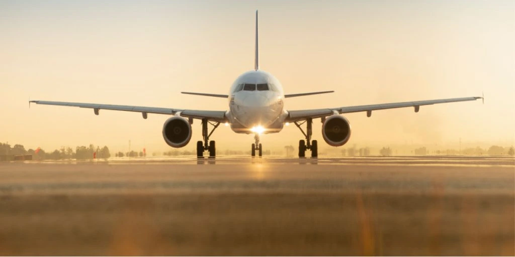 Kaos på fly: Bjørn bryder ud af sit bur ombord