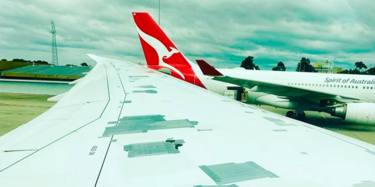 David skulle til at flyve: Fik et chok, da han så, hvad der holdt vingerne sammen