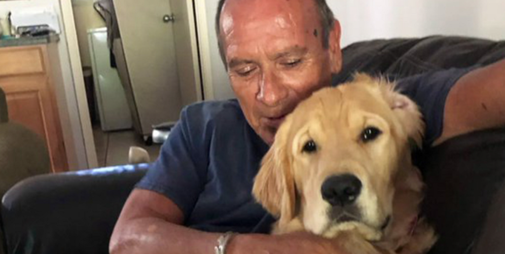 Mand og hund brændte inde på tragisk vis – men dagen efter bliver tårevækkende detalje afsløret