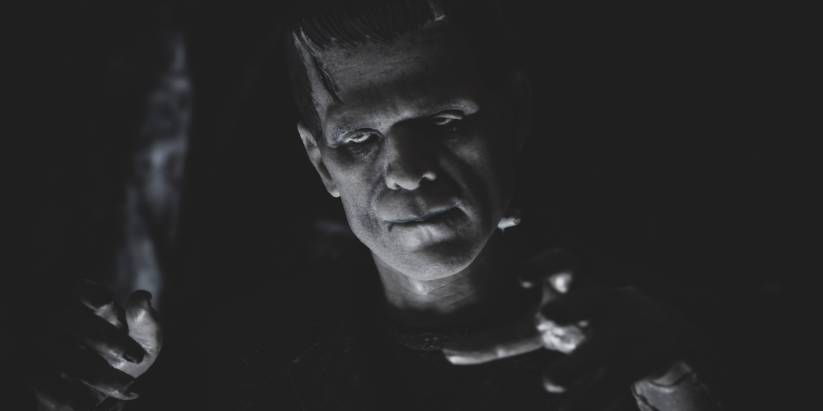 ‘Frankenstein’ lignende kreation fundet efter FBI ransagning