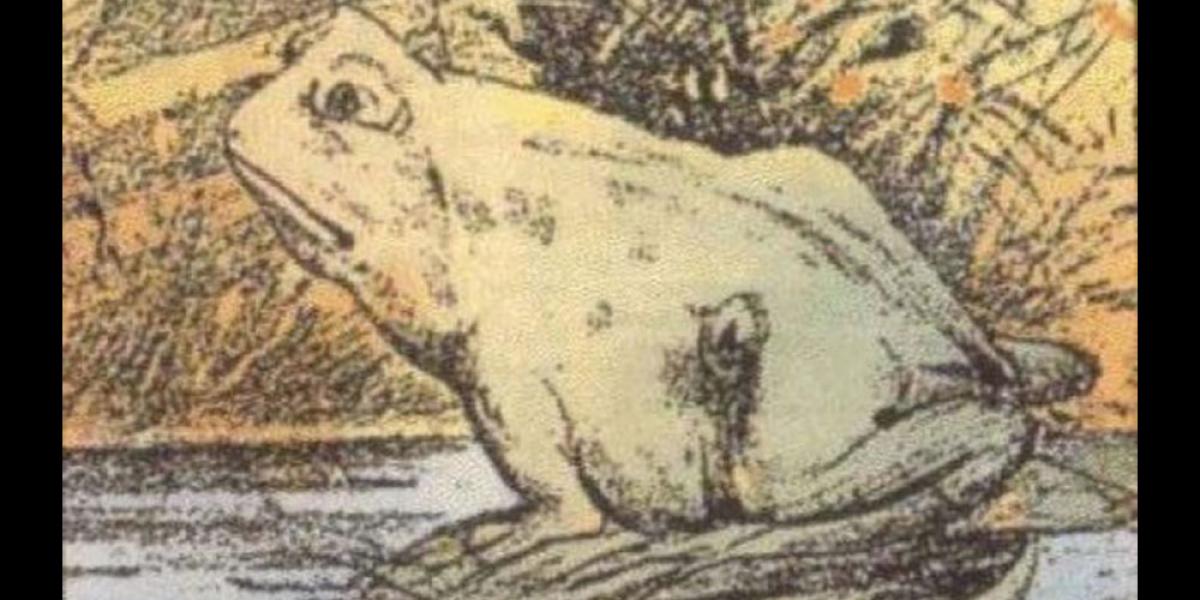Næsten ingen kan se hesten, som er gemt på dette billede af en frø. Kan du spotte den?