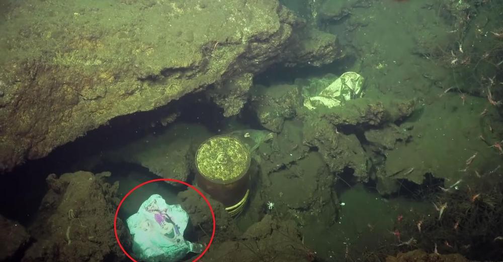 Uhyggeligt fund på den dybeste del af havet