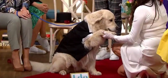 Kvinde gift med sin hund på live TV