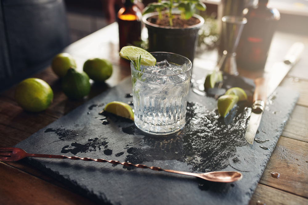 Nye studier: Folk der drikker Gin & Tonic har større hjerner