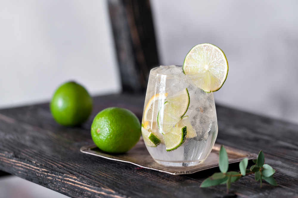 Gin og Tonic