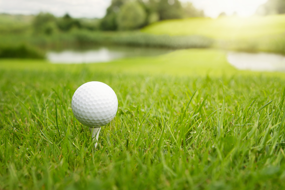 Frygteligt: Far dræbte 6-årig datter i tragisk golfulykke