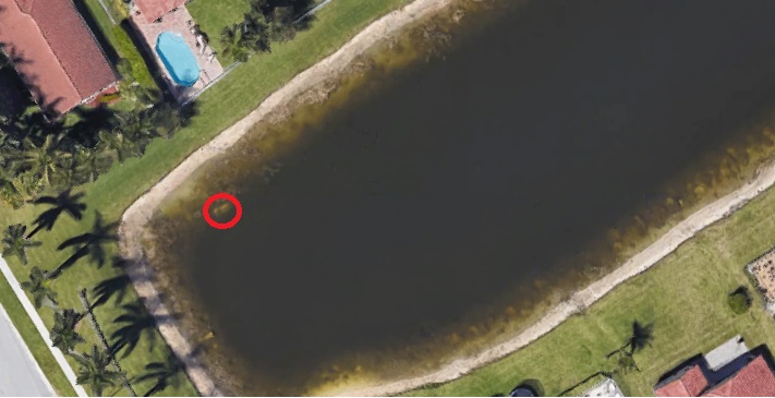 Hvor forsvandt han hen? Vildt mysterie opklaret efter 22 år via Google