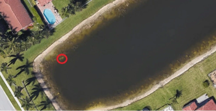 Hvor forsvandt han hen? Vildt mysterie opklaret efter 22 år via Google