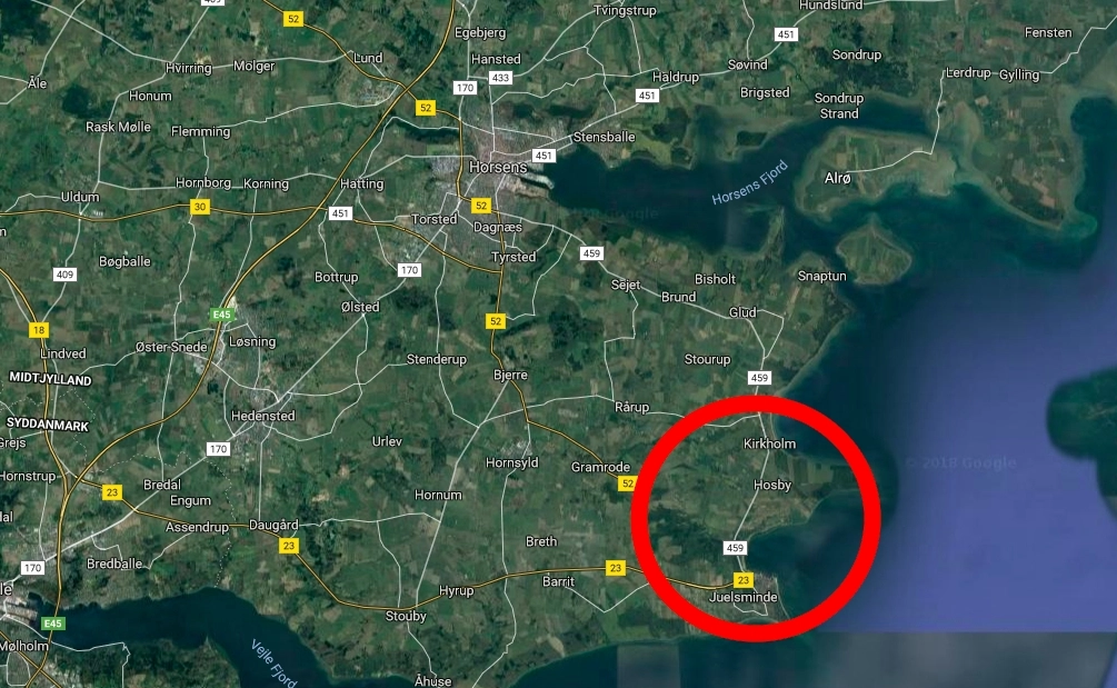 Bilist kæmper for livet efter sammenstød med heste