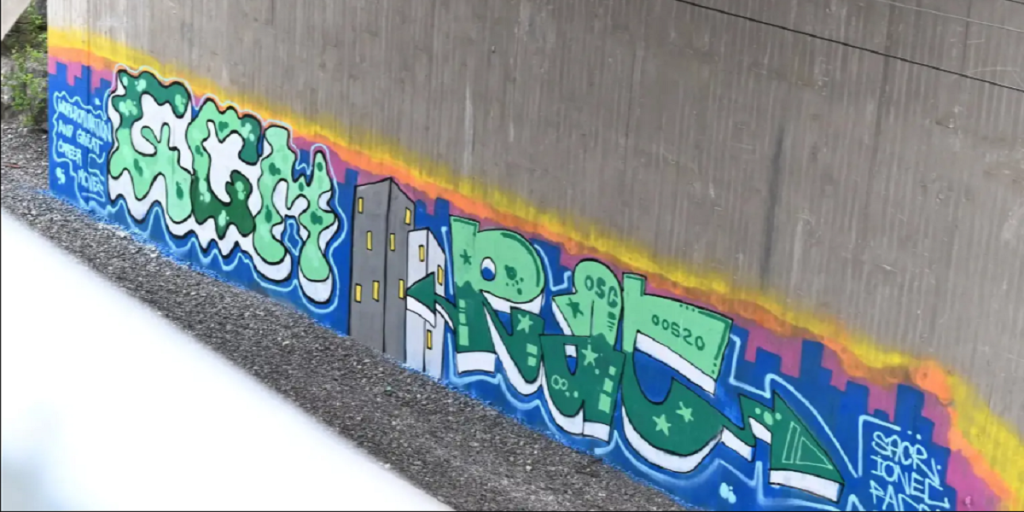 Viceborgmester knaldet for hærværk