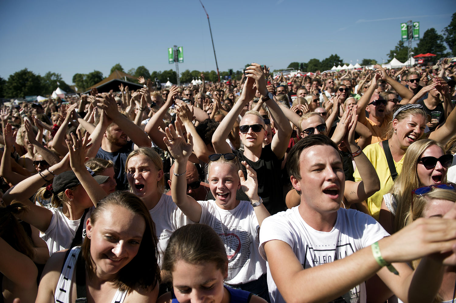Ikonisk rock band fuldender Grøn 2019-plakaten
