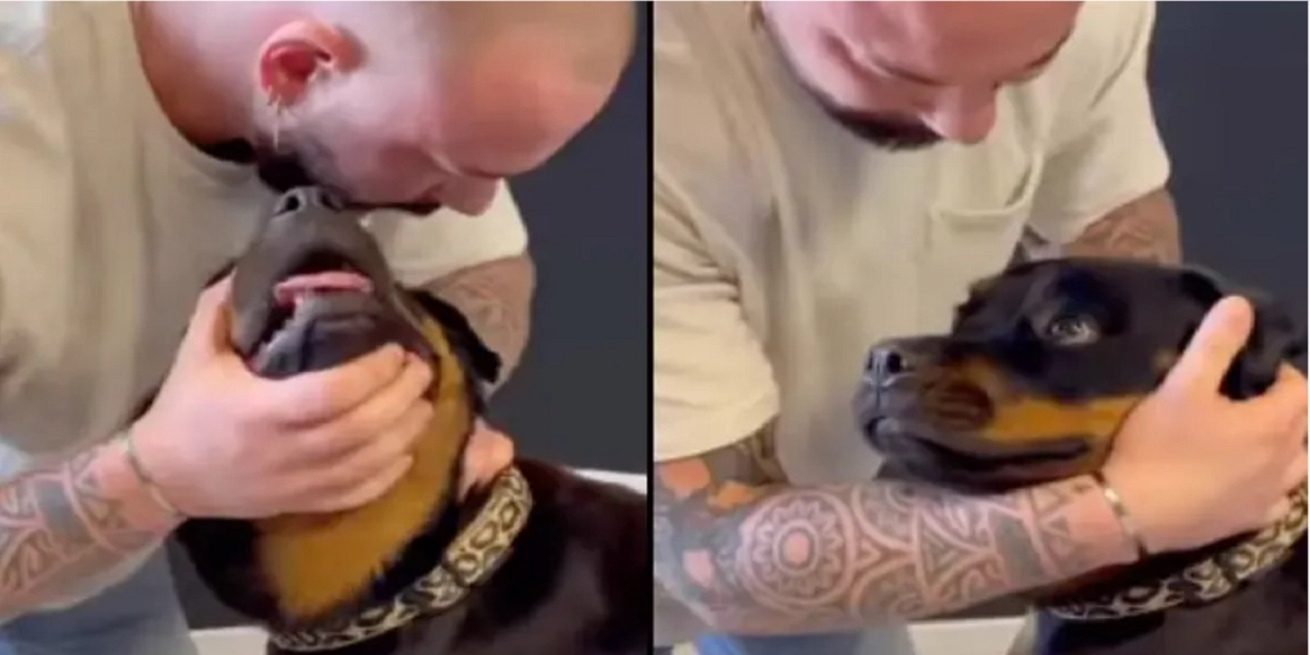 Hund i chok efter en tur til kiropraktoren, er nu gået viralt