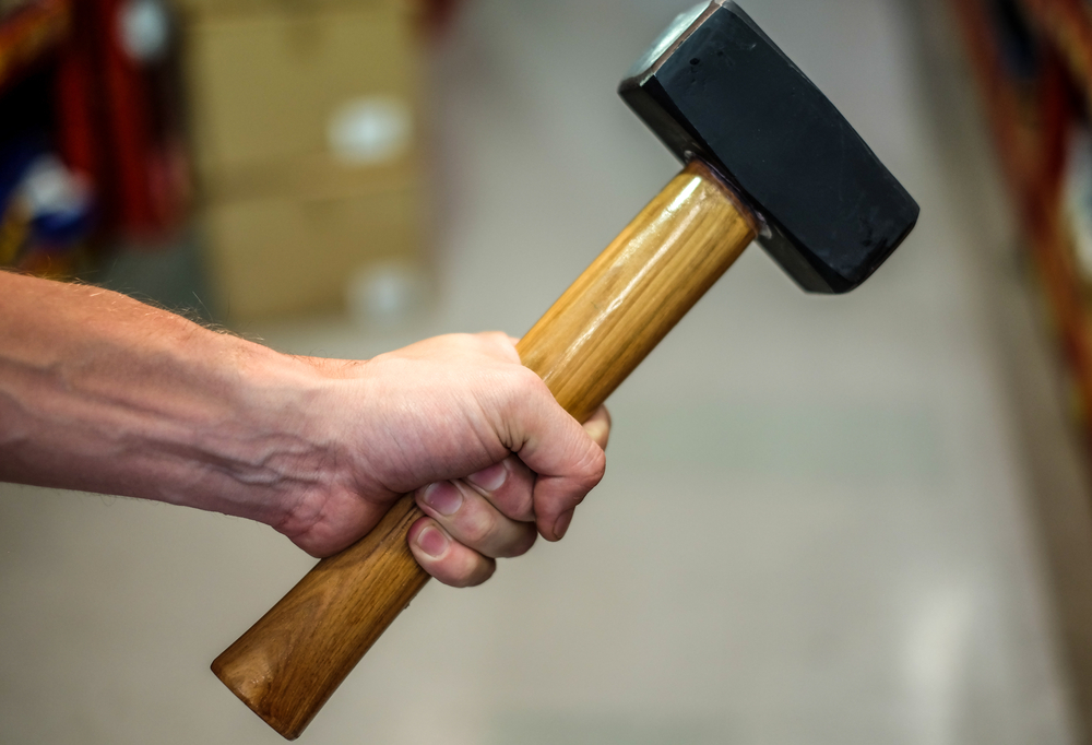 Diskussion om hund førte til bortførsel og grov vold: Slået med hammer og tvunget til at stikke touch i numsen