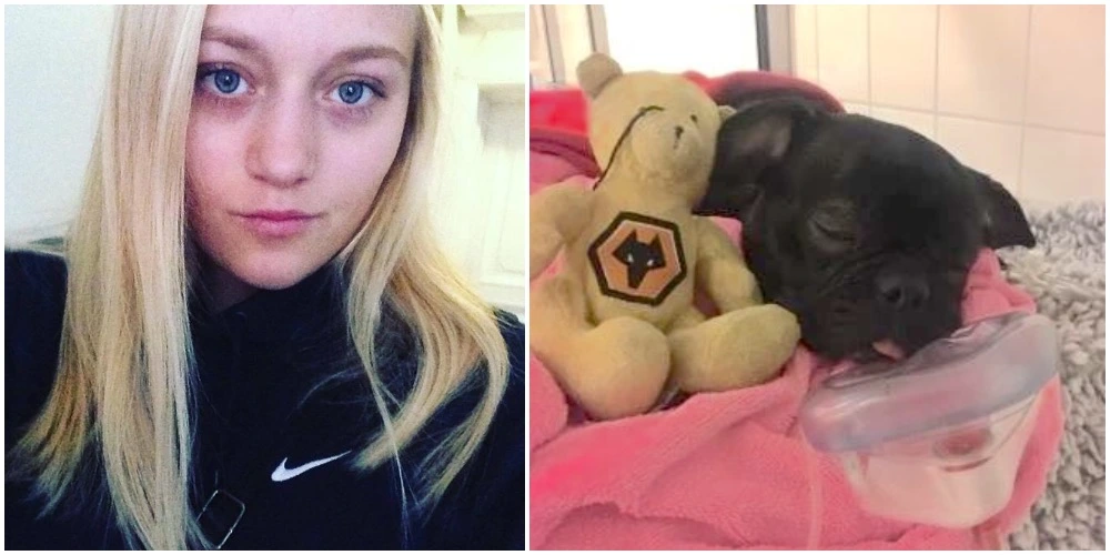 Frederikke advarer andre hundeejere: Dyrlægen havde alvorlig besked, efter et kig i hundens mund