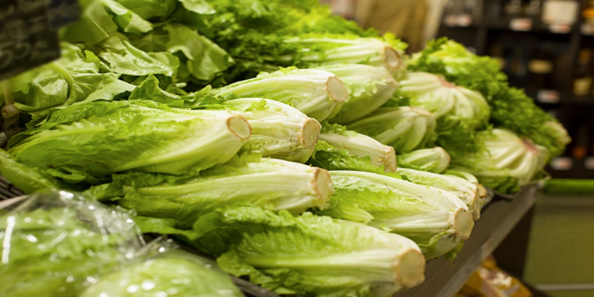Smart trick: Sådan kan salat holde sig i flere uger
