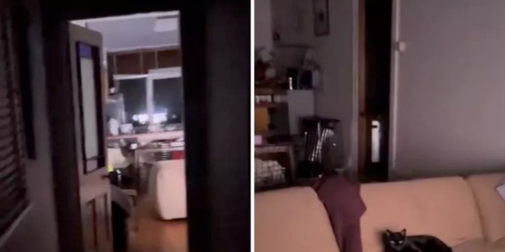 Mand hører højlydte stemmer kl. 03 om natten: Bliver målløs over synet, der møder ham